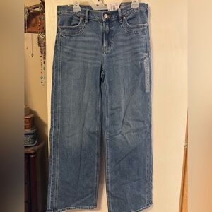American Eagle Outfitters Straight-Leg Jeans in Blue